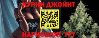 гашик Тара