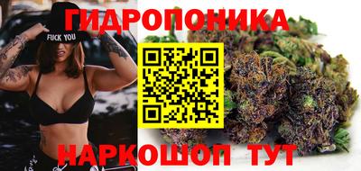 apvp Гусев