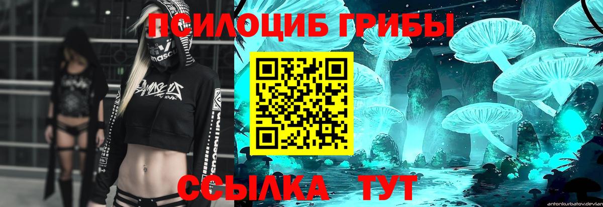 Галлюциногенные грибы Psilocybe  Вход с VPN  Псилоцибиновые грибы Psilocybine cubensis  Лянтор 